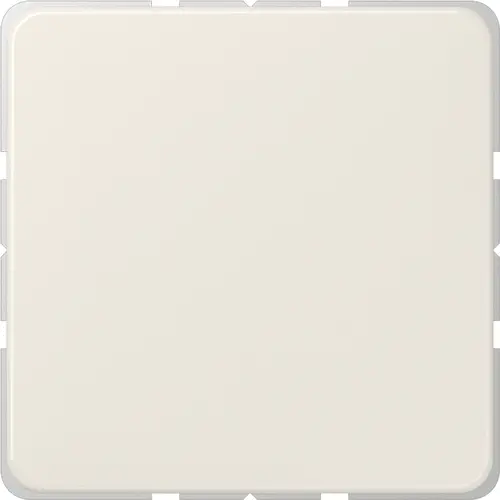 JUNG 594-0 centraalplaat blinddeksel incl. draagframe CD500 creme