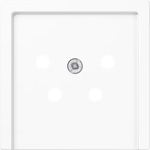 JUNG A 561 NTF WW centraalplaat telefoon 4-polig A-range alpine wit