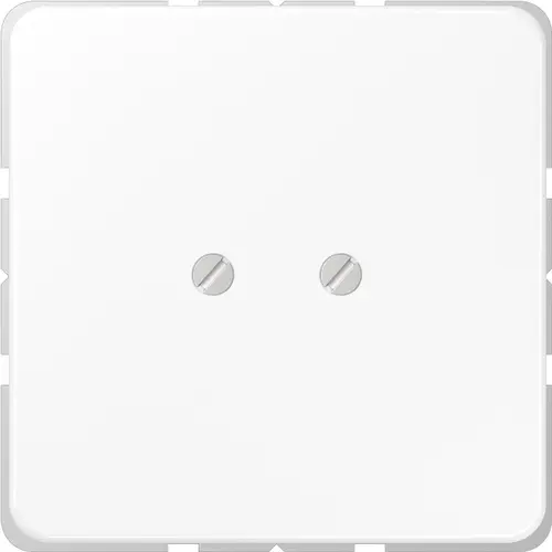 JUNG CD 561 B WW centraalplaat blinddeksel geschroefd incl. draagframe CD500 alpine wit