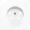 JUNG LS 961 TF WW centraalplaat telefoon 4-polig LS990 alpine wit
