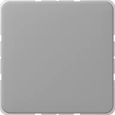 JUNG CD 594-0 GR centraalplaat blinddeksel incl. draagframe CD500 grijs