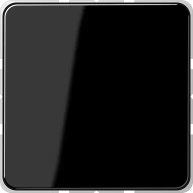 JUNG CD 594-0 SW centraalplaat blinddeksel incl. draagframe CD500 zwart glans