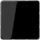 JUNG CD 594-0 SW centraalplaat blinddeksel incl. draagframe CD500 zwart glans