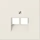 JUNG LS 969-2 UA centraalplaat 2-voudig tbv RJ45 wandcontactdoos LS990 creme