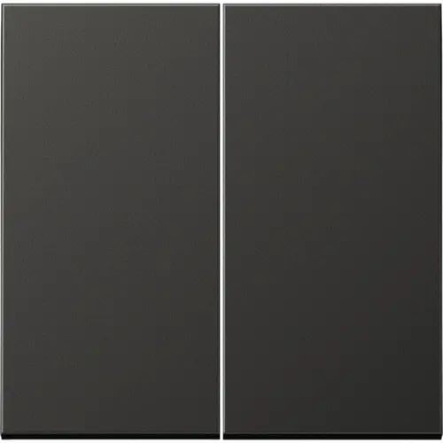 JUNG AL 2995 AN schakelwip 2-voudig LS990 antraciet gelakt aluminium
