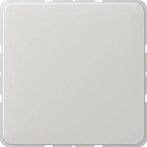JUNG CD 594-0 LG centraalplaat blinddeksel incl. draagframe CD500 lichtgrijs