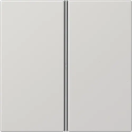 JUNG LS 402 TSA LG Tweedelige drukker Tastrelaiss