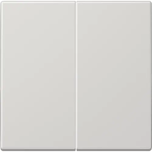 JUNG LS 995 LG schakelwip 2-voudig LS990 lichtgrijs