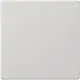 JUNG LS 994 B LG centraalplaat blinddeksel incl. draagframe LS990 lichtgrijs