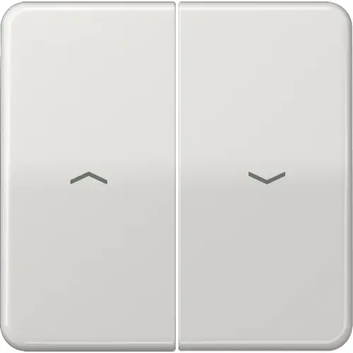 JUNG CD 595 P LG wip 2-voudig met pijlsymbolen tbv jaloezieschakelaar CD500 lichtgrijs