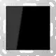 JUNG A 594-0 SW centraalplaat blinddeksel incl. draagframe A-range zwart glans