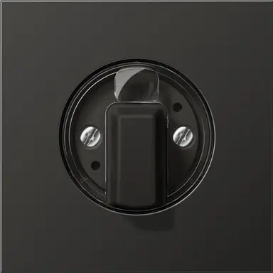 JUNG AL 1941 AN draaiknop tbv jaloezie of draaischakelaar LS990 antraciet gelakt aluminium