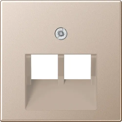 JUNG A 569-2 BFPLUA CH centraalplaat 2-voudig tbv RJ45 wandcontactdoos A-range champagne