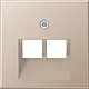 JUNG A 569-2 BFPLUA CH centraalplaat 2-voudig tbv RJ45 wandcontactdoos A-range champagne