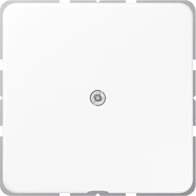 JUNG CD 590 A WW centraalplaat met snoerinvoer en draagring CD500 alpine wit