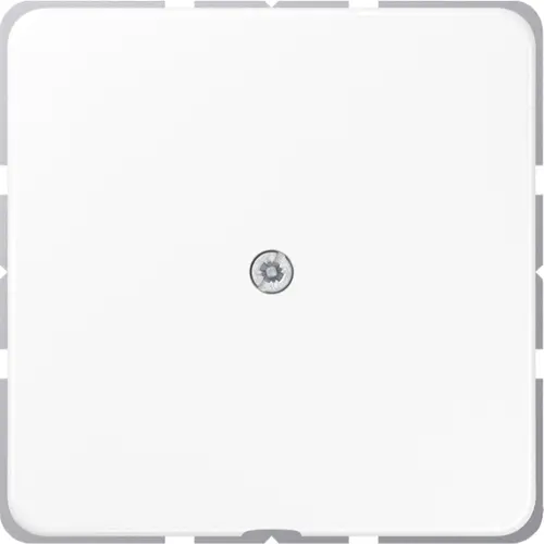 JUNG CD 590 A WW centraalplaat met snoerinvoer en draagring CD500 alpine wit