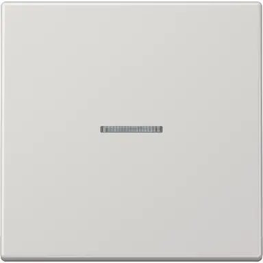 JUNG LS 990 KO5 LG schakelwip met controlevenster LS990 lichtgrijs