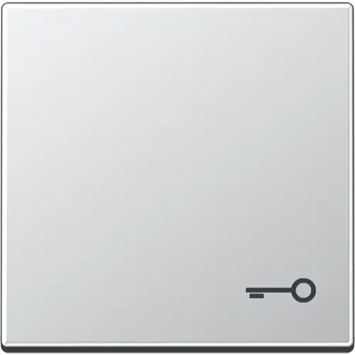 JUNG A 590 T AL schakelwip met sleutelsymbool A-range aluminium
