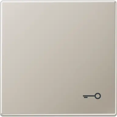 JUNG ES 2990 T schakelwip met sleutelsymbool LS990 edelstaal