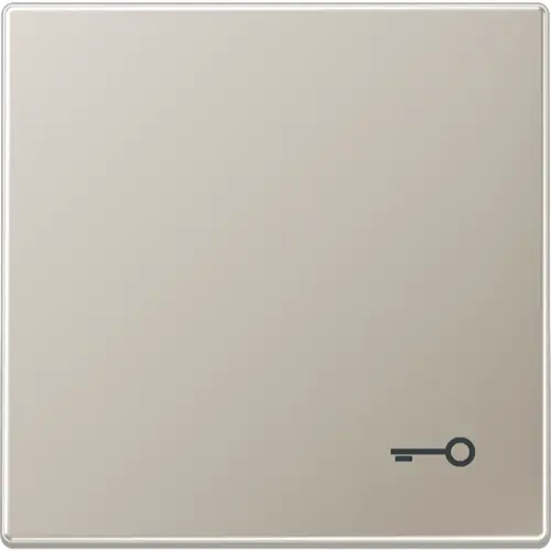 JUNG ES 2990 T schakelwip met sleutelsymbool LS990 edelstaal
