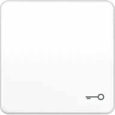 JUNG CD 590 T WW schakelwip met sleutelsymbool CD500 alpine wit