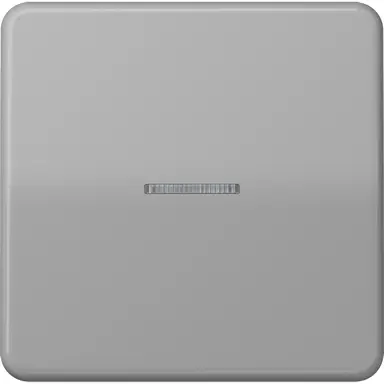 JUNG CD 590 KO5 GR schakelwip met controlevenster CD500 grijs