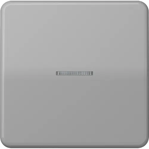 JUNG CD 590 KO5 GR schakelwip met controlevenster CD500 grijs