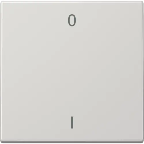 JUNG ENO LS 990-01 LG EnOcean draadloze wandzender 2-kanaals met symbolen 0-1 LS990 lichtgrijs