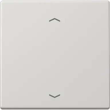 JUNG ENO LS 990 P LG EnOcean draadloze wandzender 2-kanaals met pijlsymbolen LS990 lichtgrijs
