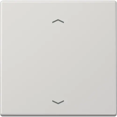 JUNG ENO LS 990 P LG EnOcean draadloze wandzender 2-kanaals met pijlsymbolen LS990 lichtgrijs