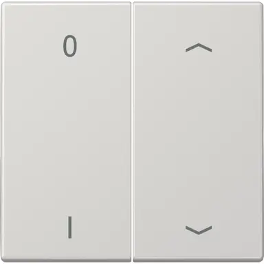 JUNG ENO LS 995 P01 LG EnOcean draadloze wandzender 4-kanaals met 0-1 en pijlsymbolen LS990 lichtgrijs