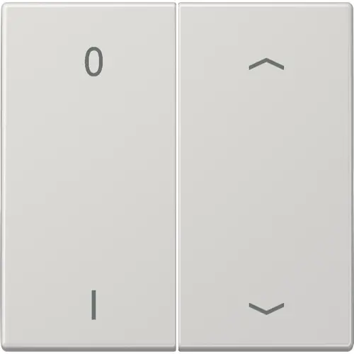 JUNG ENO LS 995 P01 LG EnOcean draadloze wandzender 4-kanaals met 0-1 en pijlsymbolen LS990 lichtgrijs