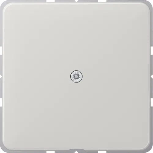 JUNG CD 590 A LG centraalplaat met snoerinvoer en draagring CD500 lichtgrijs