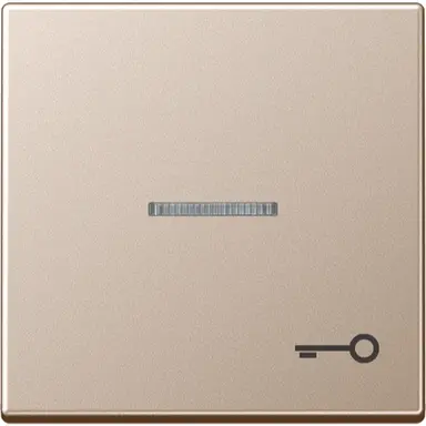 JUNG A 590 KO5 T CH schakelwip met sleutelsymbool en controlevenster A-range champagne
