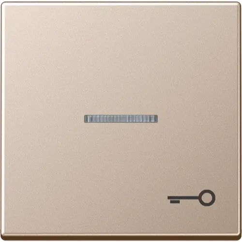 JUNG A 590 KO5 T CH schakelwip met sleutelsymbool en controlevenster A-range champagne