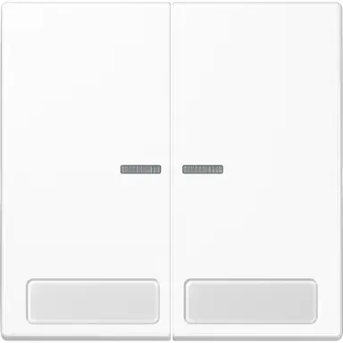 JUNG LS 995 NA KO5 WW schakelwip 2-voudig met controlevenster en tekstvenster LS990 alpine wit