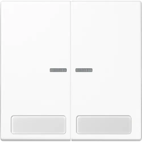 JUNG LS 995 NA KO5 WW schakelwip 2-voudig met controlevenster en tekstvenster LS990 alpine wit