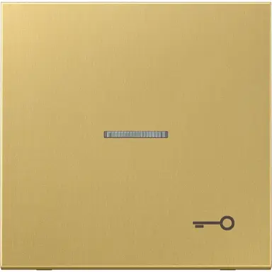 JUNG ME 2990 KO5 T C schakelwip met sleutelsymbool en controlevenster LS990 messing klassiek