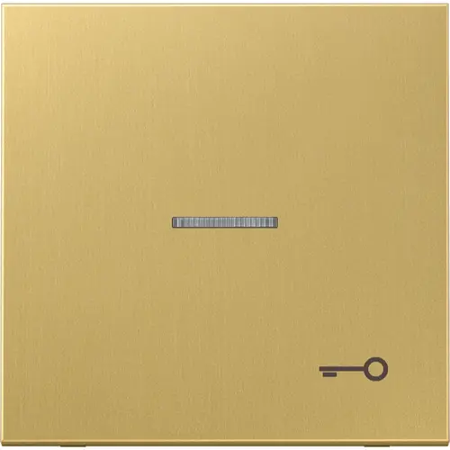JUNG ME 2990 KO5 T C schakelwip met sleutelsymbool en controlevenster LS990 messing klassiek