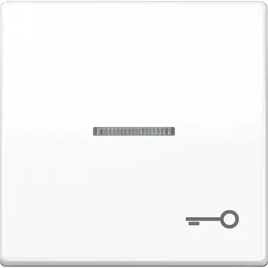 JUNG AS 591 KO5T WW schakelwip met sleutelsymbool en controlevenster alpine wit