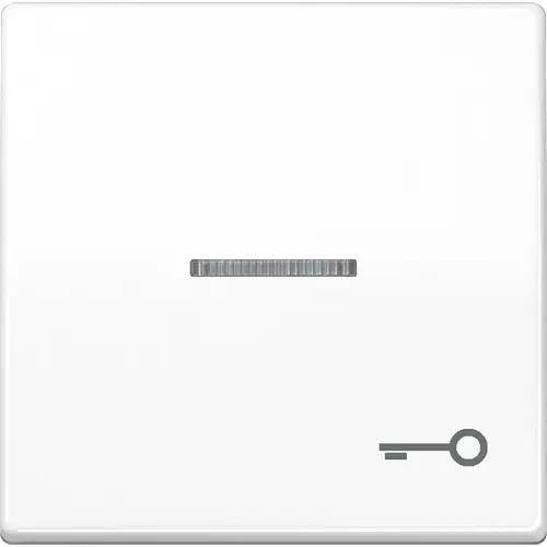 JUNG AS 591 KO5T WW schakelwip met sleutelsymbool en controlevenster alpine wit