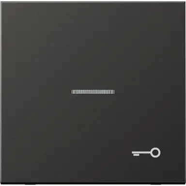 JUNG AL 2990 KO5 T AN schakelwip met sleutelsymbool en controlevenster LS990 antraciet gelakt aluminium