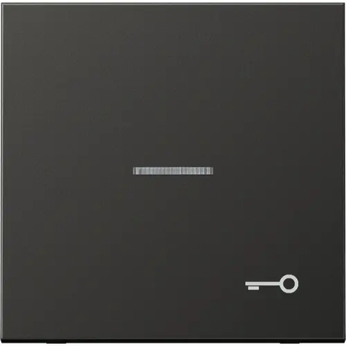 JUNG AL 2990 KO5 T AN schakelwip met sleutelsymbool en controlevenster LS990 antraciet gelakt aluminium