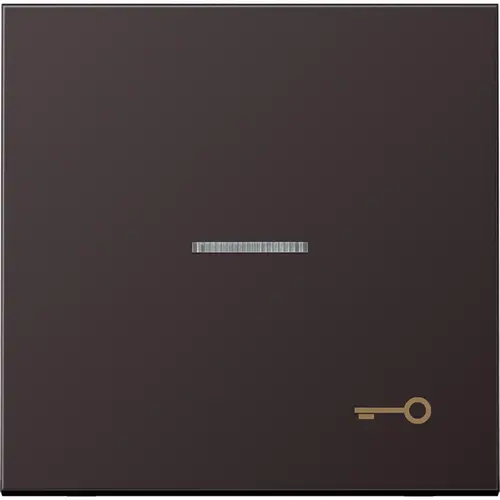 JUNG AL 2990 KO5 T D schakelwip met sleutelsymbool en controlevenster LS990 dark gelakt aluminium