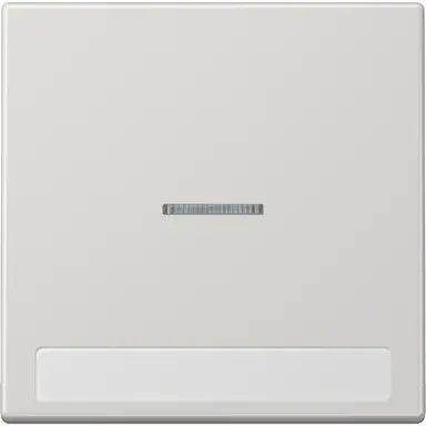 JUNG LS 990 NAKO5 LG schakelwip met controlevenster en tekstvenster LS990 lichtgrijs