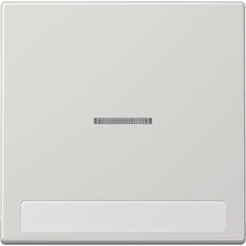 JUNG LS 990 NAKO5 LG schakelwip met controlevenster en tekstvenster LS990 lichtgrijs