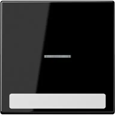 JUNG LS 990 NAKO5 SW schakelwip met controlevenster en tekstvenster LS990 zwart glans