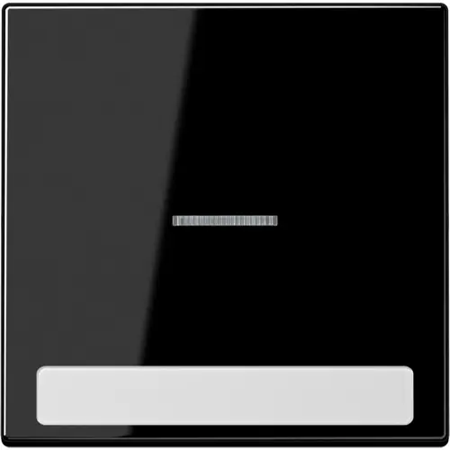 JUNG LS 990 NAKO5 SW schakelwip met controlevenster en tekstvenster LS990 zwart glans