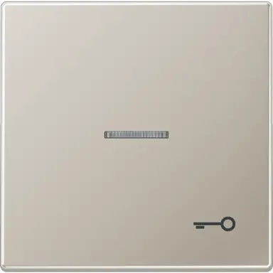 JUNG ES 2990 KO5 T schakelwip met sleutelsymbool en controlevenster LS990 edelstaal