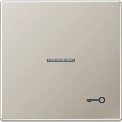 JUNG ES 2990 KO5 T schakelwip met sleutelsymbool en controlevenster LS990 edelstaal